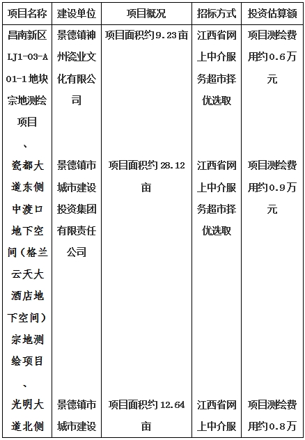 景德鎮(zhèn)市昌南新區(qū)LJ1-03-A01-1地塊、瓷都大道東側(cè)中渡口地下空間（格蘭云天大酒店地下空間）、光明大道北側(cè)利民路西側(cè)地下空間（青少年宮地下空間）、規(guī)劃二路北側(cè)地下空間地塊二（加速基地地下空間）、規(guī)劃二路北側(cè)地下空間地塊一（加速基地地下空間）、景德大道南側(cè)天寶橋西側(cè)地塊、景興大道東側(cè)如意路北側(cè)地下空間(社會公共服務(wù)