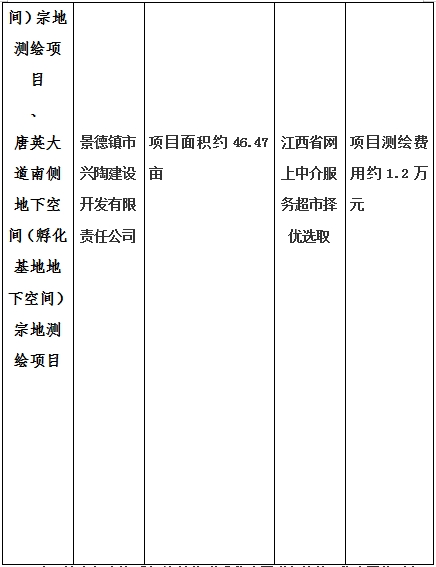 景德鎮(zhèn)市昌南新區(qū)LJ1-03-A01-1地塊、瓷都大道東側(cè)中渡口地下空間（格蘭云天大酒店地下空間）、光明大道北側(cè)利民路西側(cè)地下空間（青少年宮地下空間）、規(guī)劃二路北側(cè)地下空間地塊二（加速基地地下空間）、規(guī)劃二路北側(cè)地下空間地塊一（加速基地地下空間）、景德大道南側(cè)天寶橋西側(cè)地塊、景興大道東側(cè)如意路北側(cè)地下空間(社會公共服務(wù)