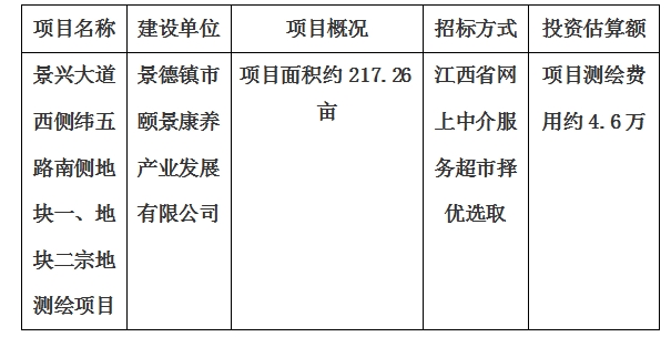 景興大道西側緯五路南側地塊一、地塊二宗地