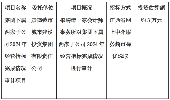 集團(tuán)下屬兩家子公司2024年經(jīng)營指標(biāo)完成情況審計項目計劃公告