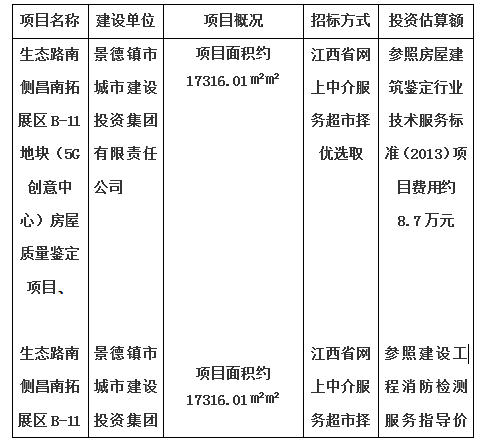 生態(tài)路南側(cè)昌南拓展區(qū)B-11地塊（5G創(chuàng)意中心）房屋質(zhì)量鑒定項(xiàng)目、生態(tài)路南側(cè)昌南拓展區(qū)B-11地塊（5G創(chuàng)意中心）消防安全評估項(xiàng)目計(jì)劃公告